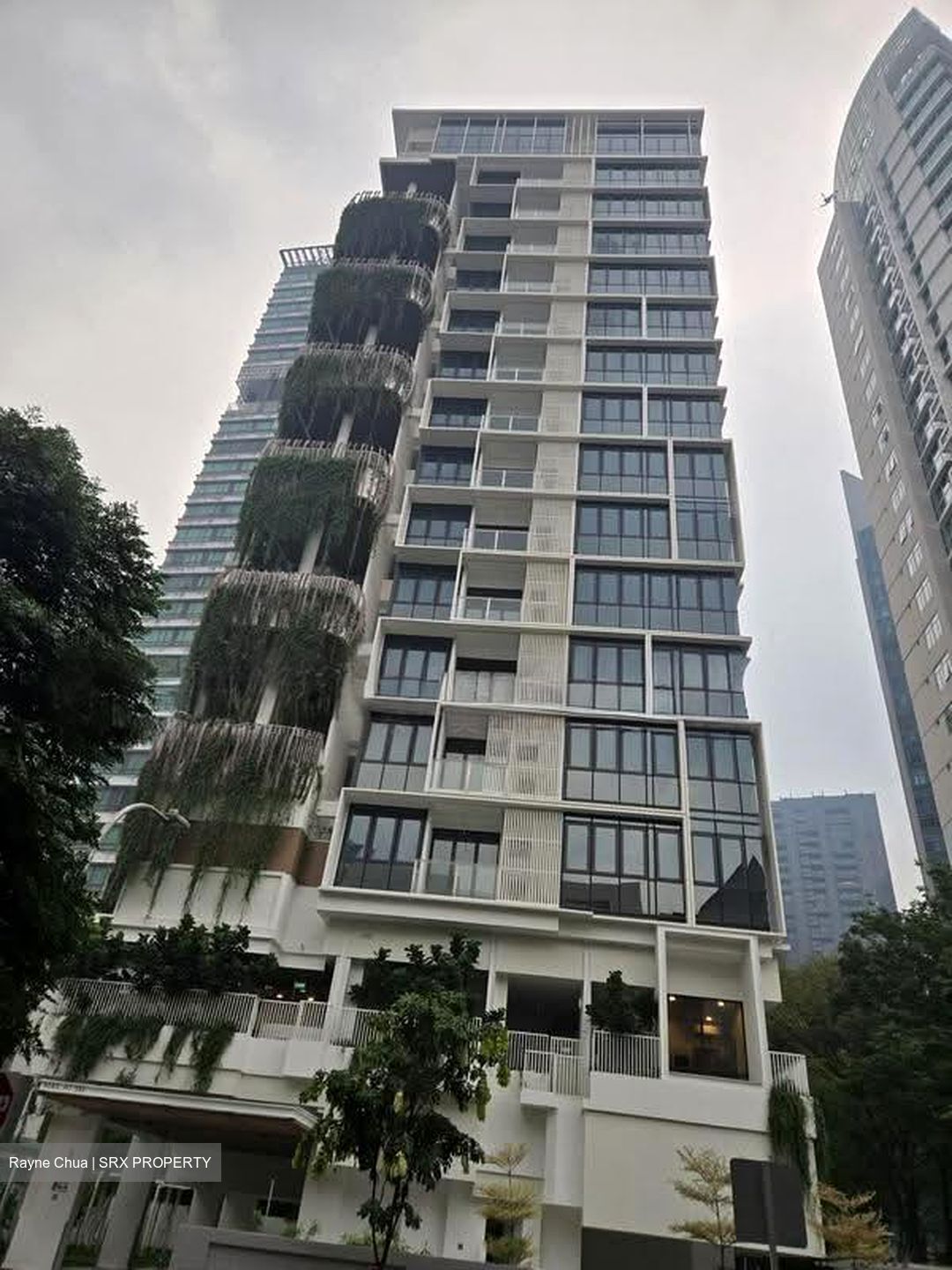 10 Evelyn (D11), Apartment #609573241